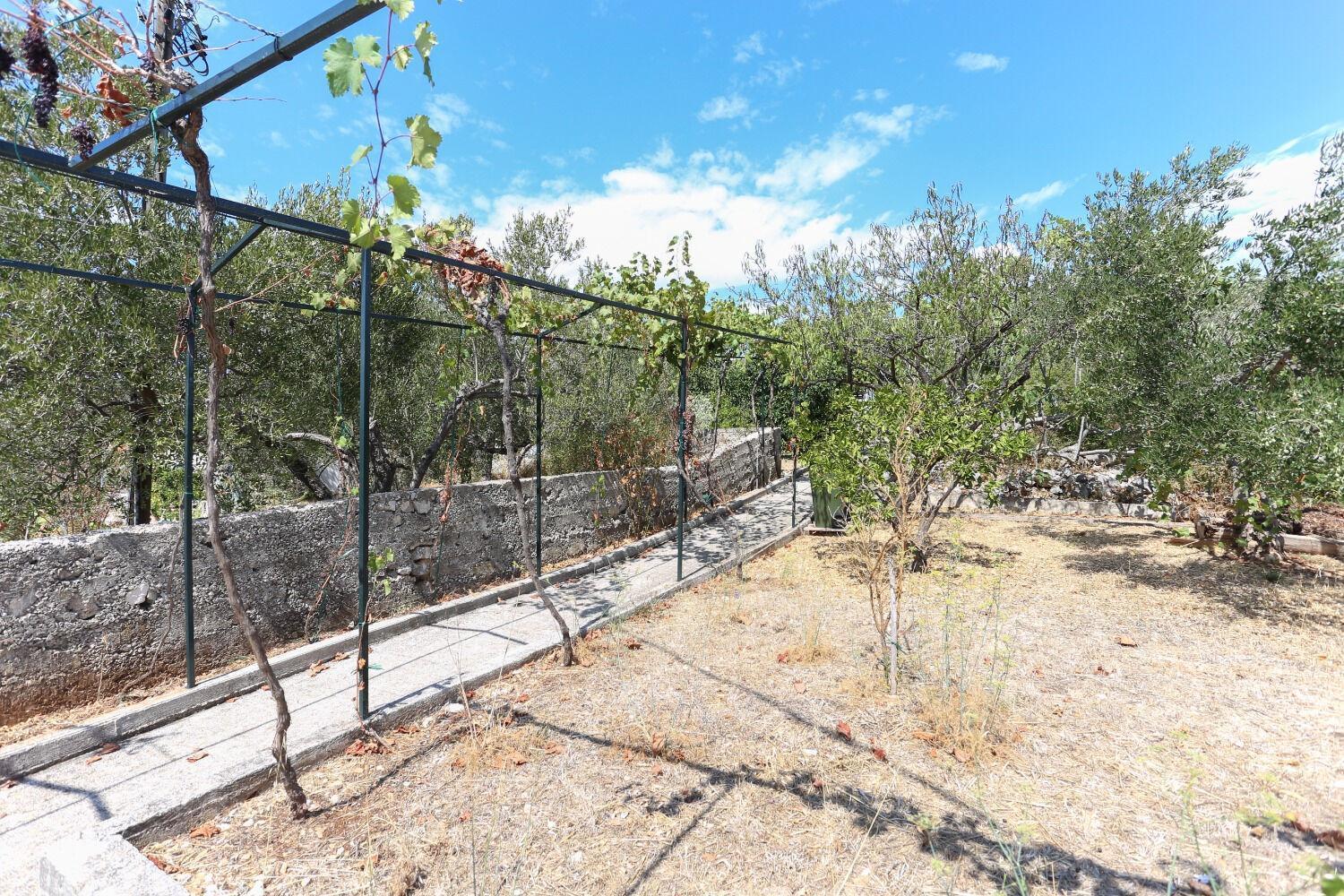 Holiday Home Marcelo-With Terrace Vinisce Bagian luar foto